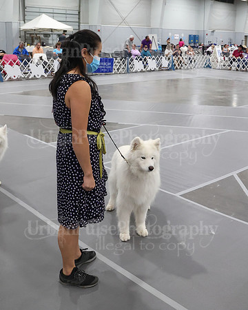 2021 SCA WK SWPS NOVICE B-3267
