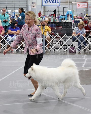 2021 SCA WK SWPS NOVICE B-3274