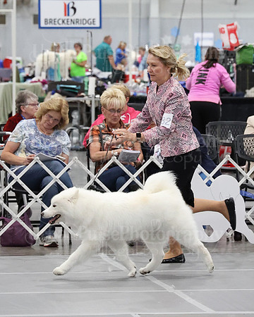2021 SCA WK SWPS NOVICE B-3280