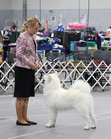 2021 SCA WK SWPS NOVICE B-3278