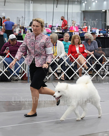 2021 SCA WK SWPS NOVICE B-3269