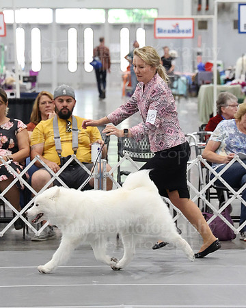 2021 SCA WK SWPS NOVICE B-3281