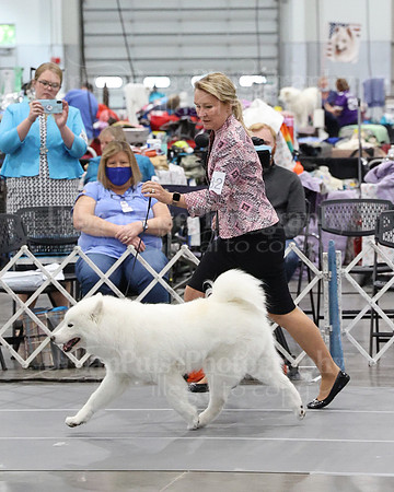 2021 SCA WK SWPS NOVICE B-3284