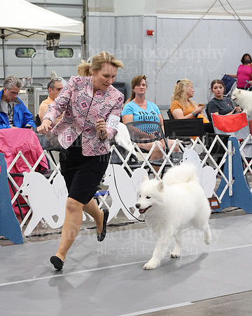 2021 SCA WK SWPS NOVICE B-3288
