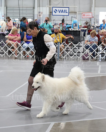 2021 SCA WK SWPS NOVICE B-3293
