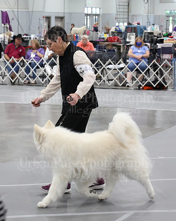 2021 SCA WK SWPS NOVICE B-3296