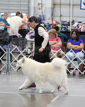 2021 SCA WK SWPS NOVICE B-3301