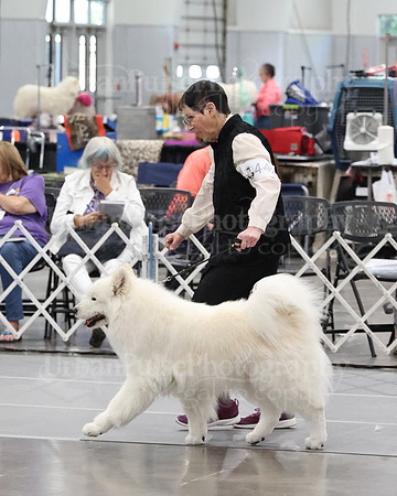 2021 SCA WK SWPS NOVICE B-3303