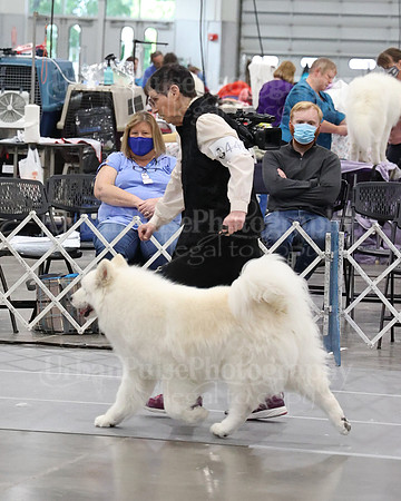2021 SCA WK SWPS NOVICE B-3302