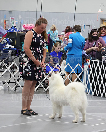 2021 SCA WK SWPS NOVICE B-3308