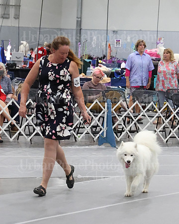 2021 SCA WK SWPS NOVICE B-3311