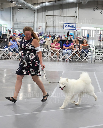 2021 SCA WK SWPS NOVICE B-3316