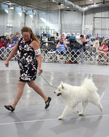 2021 SCA WK SWPS NOVICE B-3317