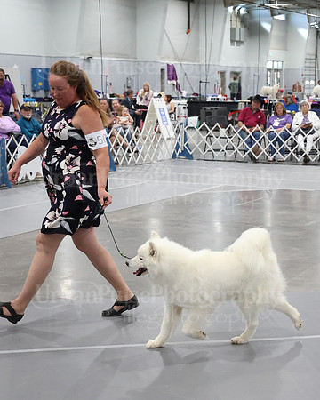 2021 SCA WK SWPS NOVICE B-3319