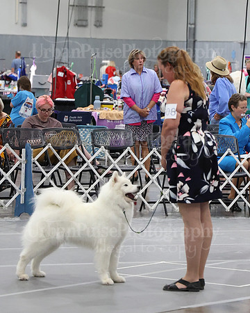 2021 SCA WK SWPS NOVICE B-3321