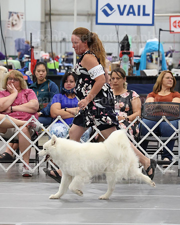 2021 SCA WK SWPS NOVICE B-3327
