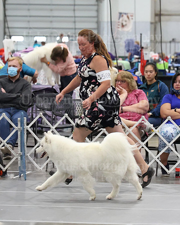 2021 SCA WK SWPS NOVICE B-3328