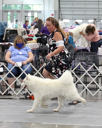 2021 SCA WK SWPS NOVICE B-3329