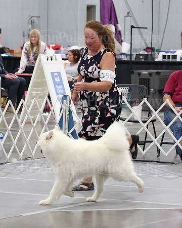 2021 SCA WK SWPS NOVICE B-3331