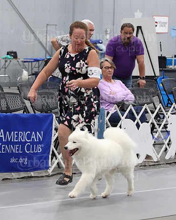 2021 SCA WK SWPS NOVICE B-3334