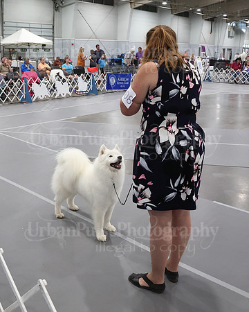 2021 SCA WK SWPS NOVICE B-3343