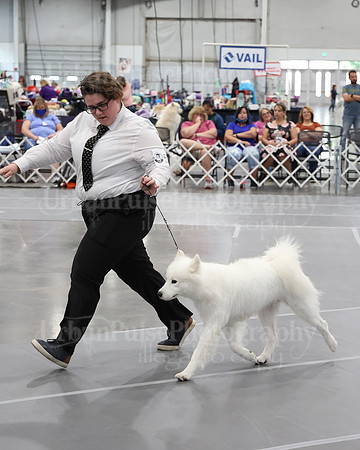 2021 SCA WK SWPS NOVICE B-3346