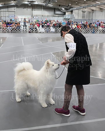 2021 SCA WK SWPS NOVICE B-3347