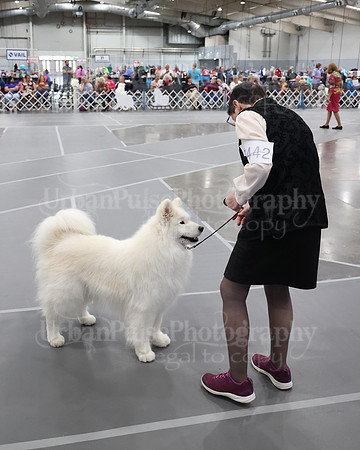 2021 SCA WK SWPS NOVICE B-3351
