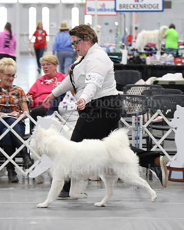 2021 SCA WK SWPS NOVICE B-3353