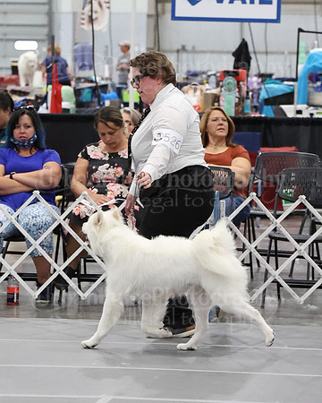 2021 SCA WK SWPS NOVICE B-3355