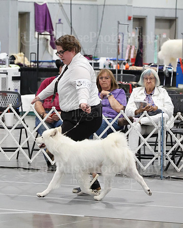 2021 SCA WK SWPS NOVICE B-3360