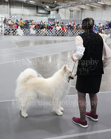 2021 SCA WK SWPS NOVICE B-3366