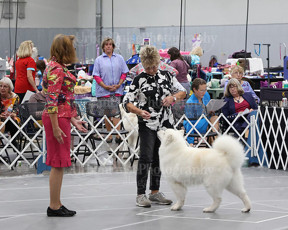 2021 SCA WK SWPS NOVICE B-3365