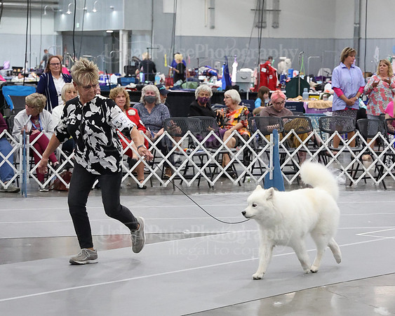 2021 SCA WK SWPS NOVICE B-3367