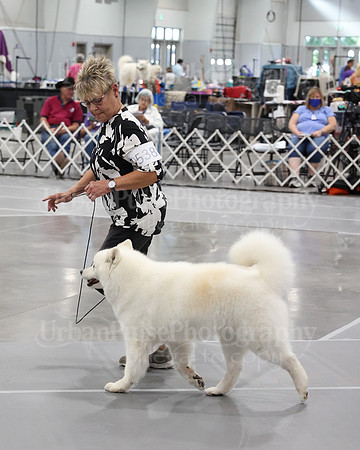 2021 SCA WK SWPS NOVICE B-3372