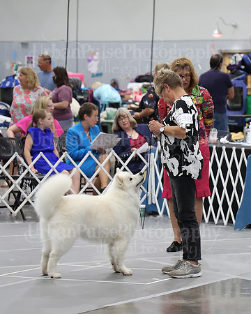 2021 SCA WK SWPS NOVICE B-3374