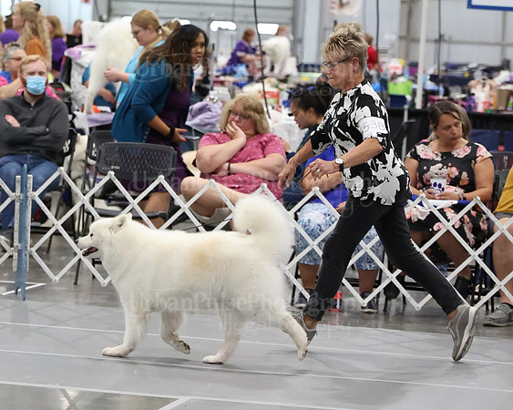2021 SCA WK SWPS NOVICE B-3378