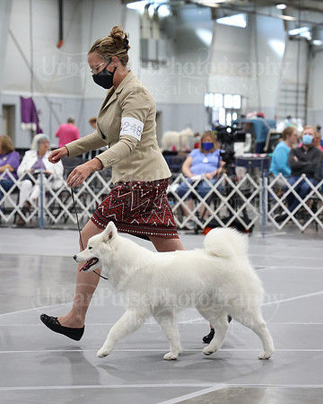 2021 SCA WK SWPS NOVICE B-3386