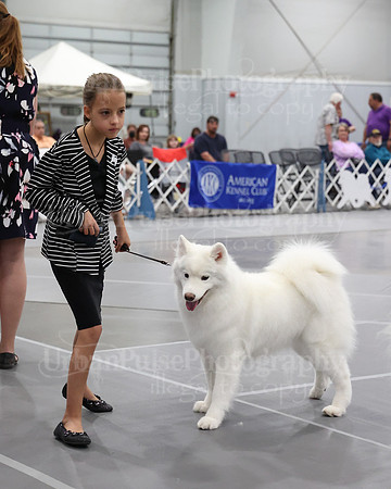 2021 SCA WK SWPS NOVICE B-3392