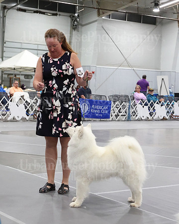 2021 SCA WK SWPS NOVICE B-3394