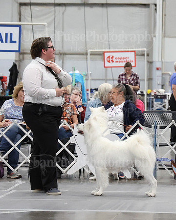 2021 SCA WK SWPS NOVICE B-3395
