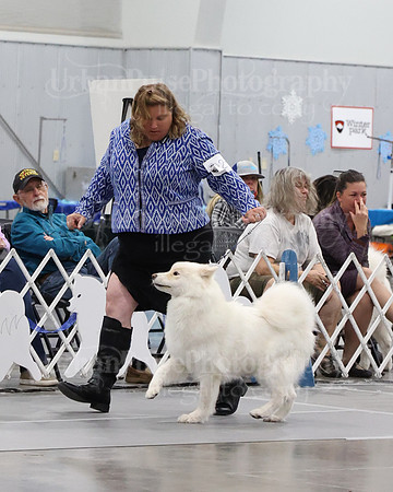 2021 SCA WK SWPS NOVICE B-3398