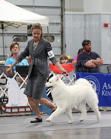 2021 SCA WK SWPS NOVICE B-3403