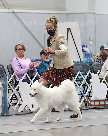 2021 SCA WK SWPS NOVICE B-3408