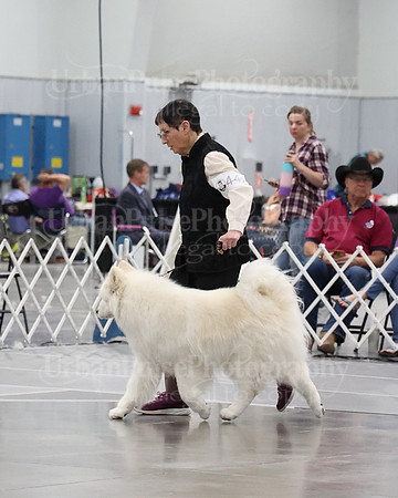 2021 SCA WK SWPS NOVICE B-3411