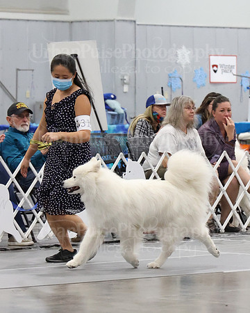 2021 SCA WK SWPS NOVICE B-3410
