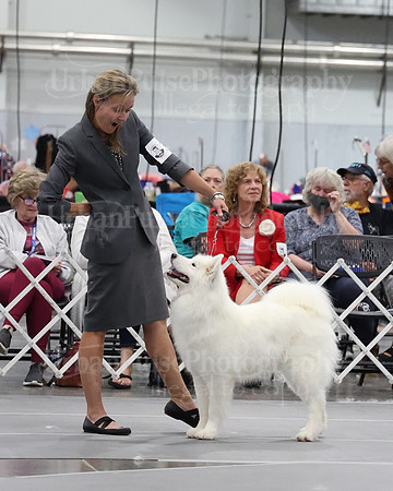 2021 SCA WK SWPS NOVICE B-3417