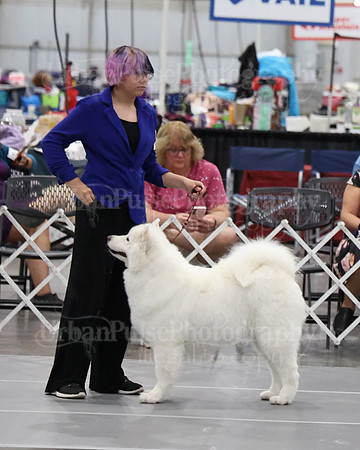 2021 SCA WK SWPS NOVICE B-3418