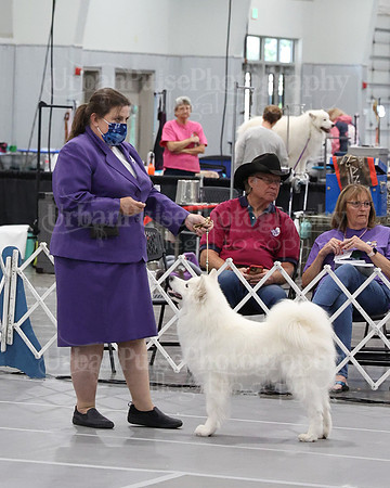 2021 SCA WK SWPS NOVICE B-3419