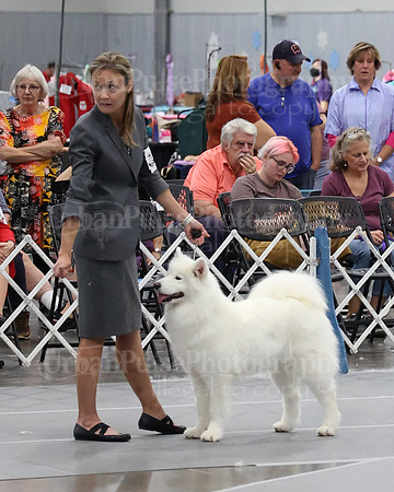 2021 SCA WK SWPS NOVICE B-3423